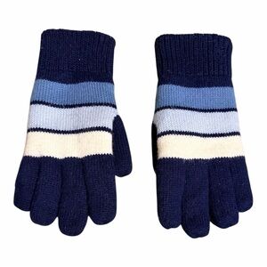 Aris Men's Striped Knit Gloves - Navy and Light Blue